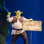 2013-01/shrek_de_musical_5-1200x800.jpg