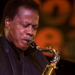 Wayne Shorter photo Hans Speekenbrink