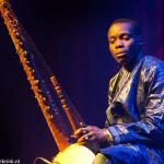 Toumani and Sidiki Diabaté photo Hans Speekenbrink