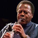 wayne Shorter photo Hans Speekenbrink