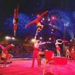 Wereldkerstcircus in Carré